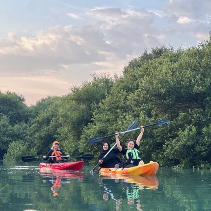 Mangrove Kayak Tour